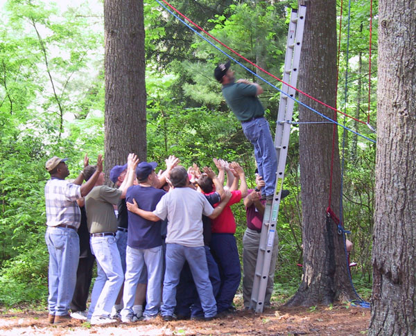 Low Ropes Course - Team Building Programs